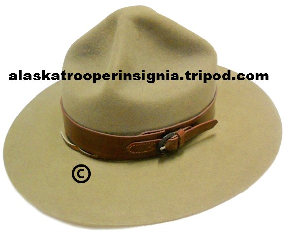 rcmp stetson for sale
